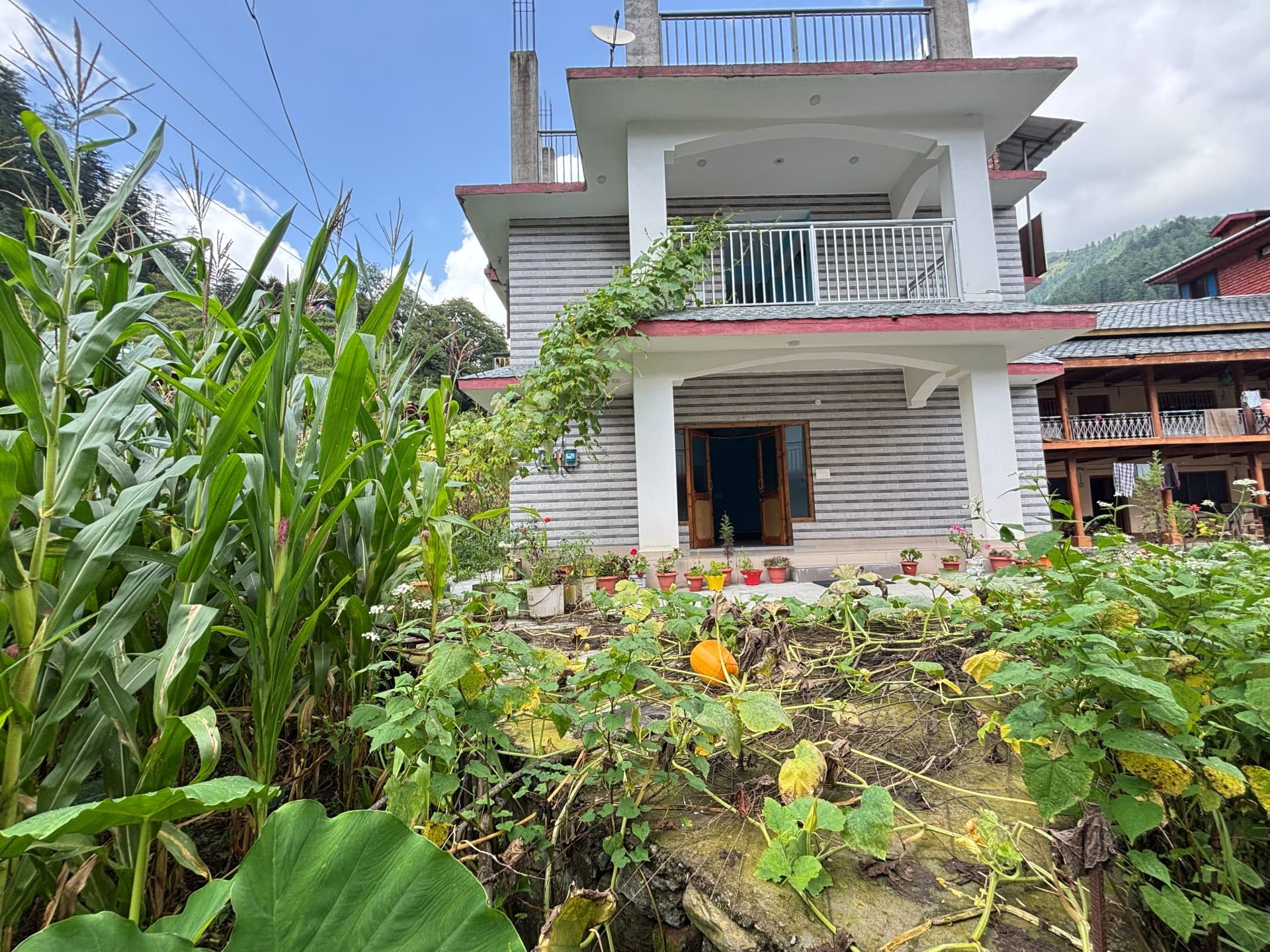 Around the Property